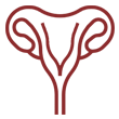 Histeroscopia Diagnóstica e Cirúrgica